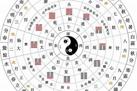 天干 地支 五行|天干地支五行对照表图 阴阳五行